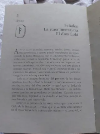 Runas Vikingas piedras