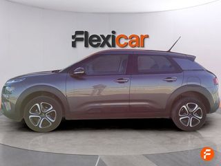 Citroën C4 Cactus PureTech 110 S&S Feel