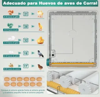 Incubadora Automática Transparente