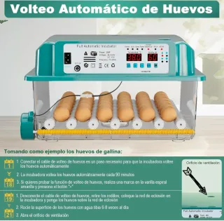 Incubadora Automática Transparente