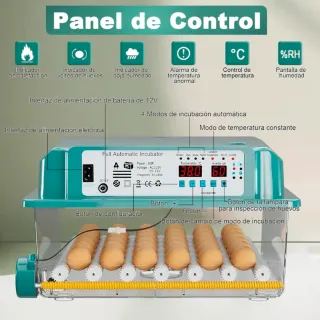 Incubadora Automática Transparente