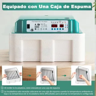 Incubadora Automática Transparente