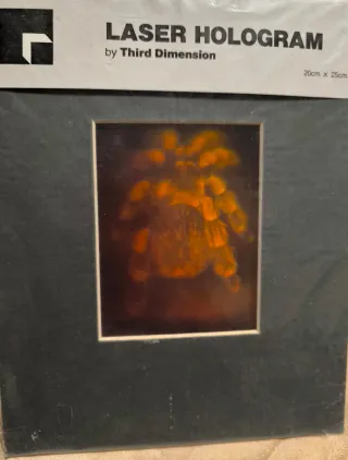 Antiguo holograma tarántula 80s/90s