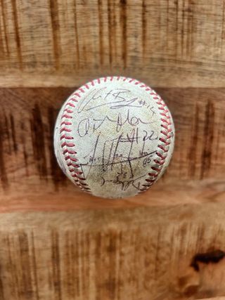 Palla da Baseball Autografata