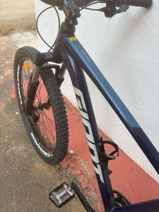 Bicicleta Giant Talon R29 Monoplato