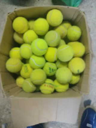 50 Pelotas de tenis para mascotas o manualidades