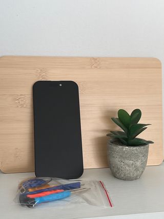 Pantalla iPhone 16 Pro