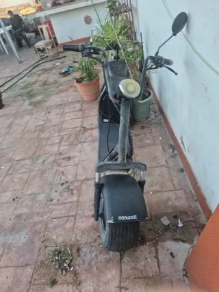 Citycoco Scooter Eléctrica Negra y Azul