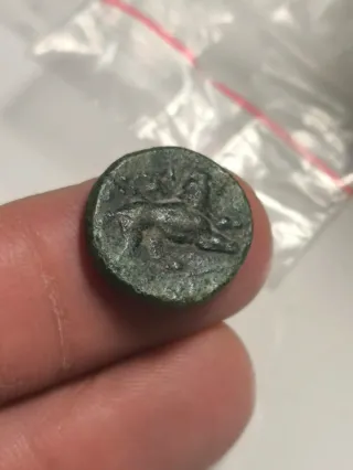 Moneda Griega Tracia Lysimachos