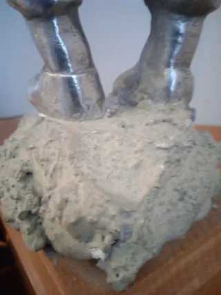 Trofeo antiguo Cumbres 1980-1981