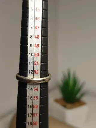 Anillo Plata Ley Circonitas Roja 13mm/T.53