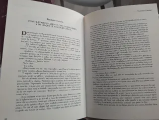 LOTE CLÁSICOS DE LA LITERATURA ESPAÑOLA