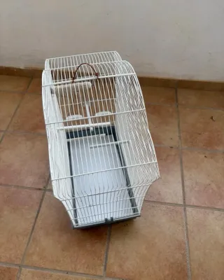 ORIGINAL JAULA "VOLTREGÀ" REGALO Cubierta de malla