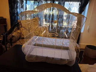 ORIGINAL JAULA "VOLTREGÀ" REGALO Cubierta de malla