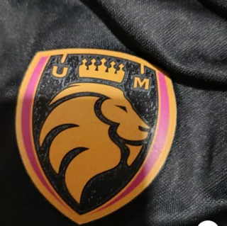 Camiseta + sudadera Adidas ultimate mostoles