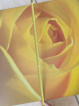 Cuadro Rosa Amarilla