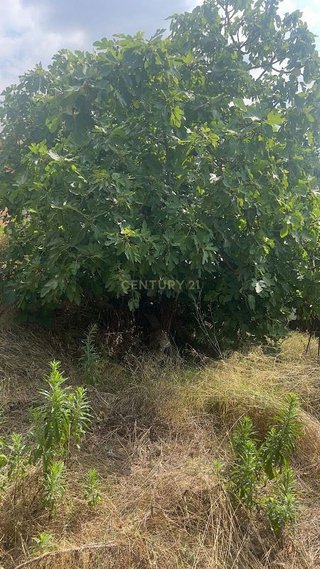 Terreno en venta en Polinyà