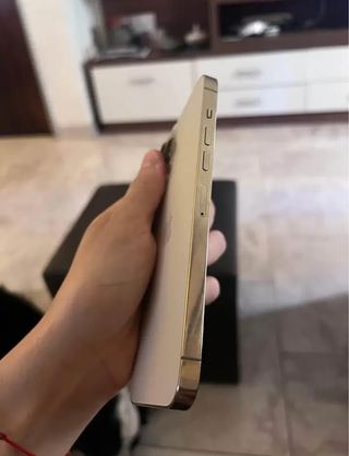 iPhone 13 Pro Max Dorato