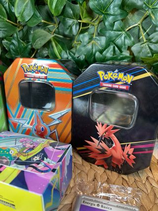 Lata Pokémon, Fundas, Dados e Monete