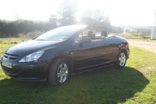 Peugeot 307 2005