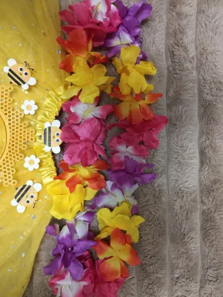 Disfraz Abeja Tutú y Medias