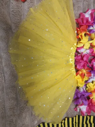 Disfraz Abeja Tutú y Medias