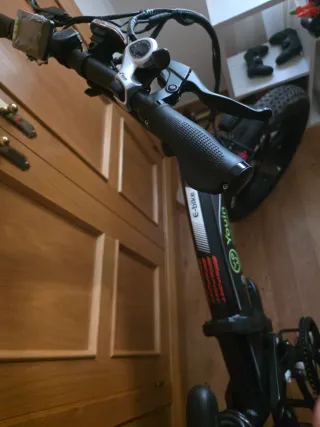 Bicicleta Eléctrica Youin RDS5 Fat Bike