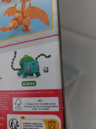 Mega Pokémon Charizard Dracaufeu Glurak