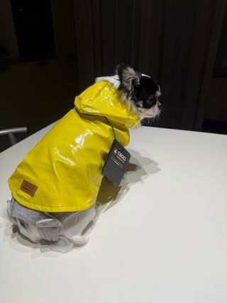Impermeabile cane con cappuccio giallo