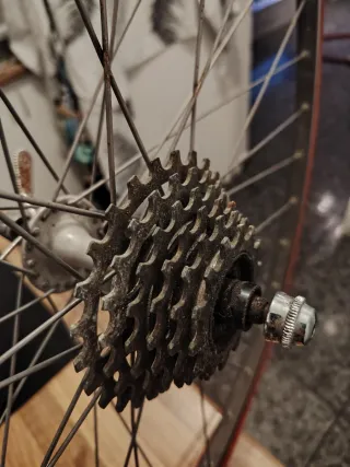 Rueda de Bicicleta Michelin Dynamic Sport