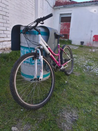 Bicicleta Cups Trophy 260