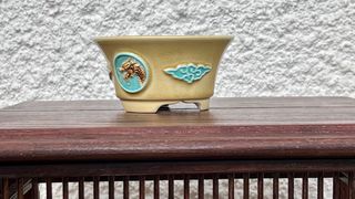 Vaso bonsai cerâmica dragão