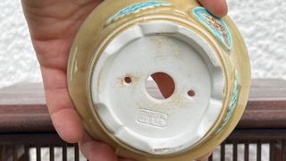 Vaso bonsai cerâmica dragão