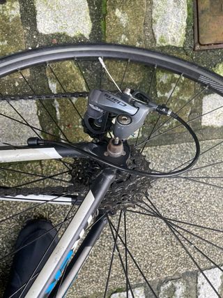 Bicicleta Carretera Trek Talla S