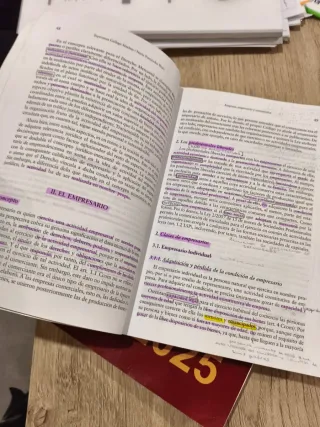 Derecho de la Empresa y del Mercado 6ª Edición ...