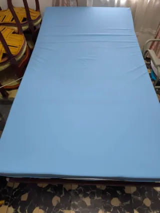 Cama eléctrica articulada