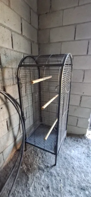 Jaula para loro grande