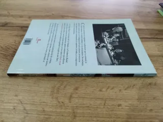 Cultura visual contemporánea - V Coloquios en e...