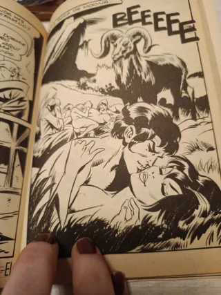 Antiguo libro lucifera