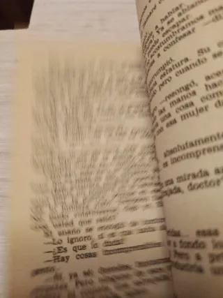 Libro antiguo terror