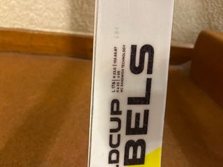 Esquís Head Worldcup Rebels GS RD Team