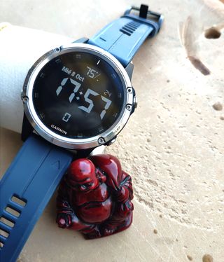 Reloj Garmin Fenix 5 Plus