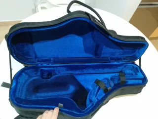 Custodia per sassofono alto Protec TB 304 CT