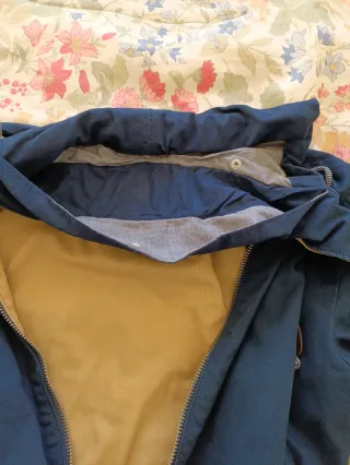 Cazadora Springfield azul