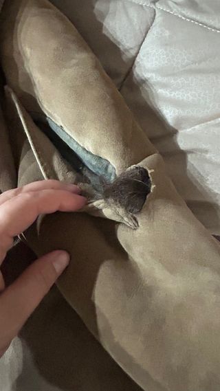 Cappotto montone vintage donna beige/marrone