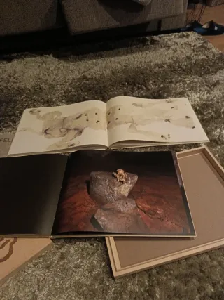 cahier de félins. Barceló