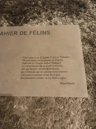 cahier de félins. Barceló