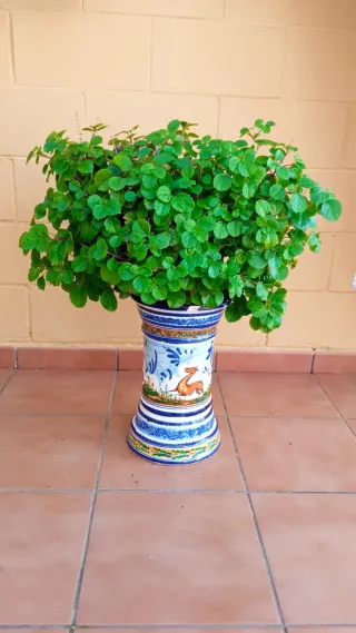 Pie/Columna Cerámica Maceta Azul Multicolor.