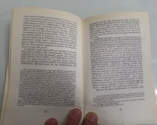Imprese in cerca di padrone. Proprietà e controllo