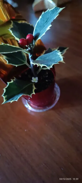 Retales losa hormigón